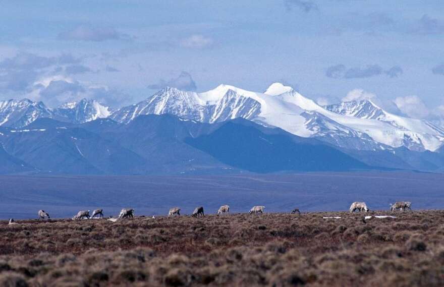 ANWR