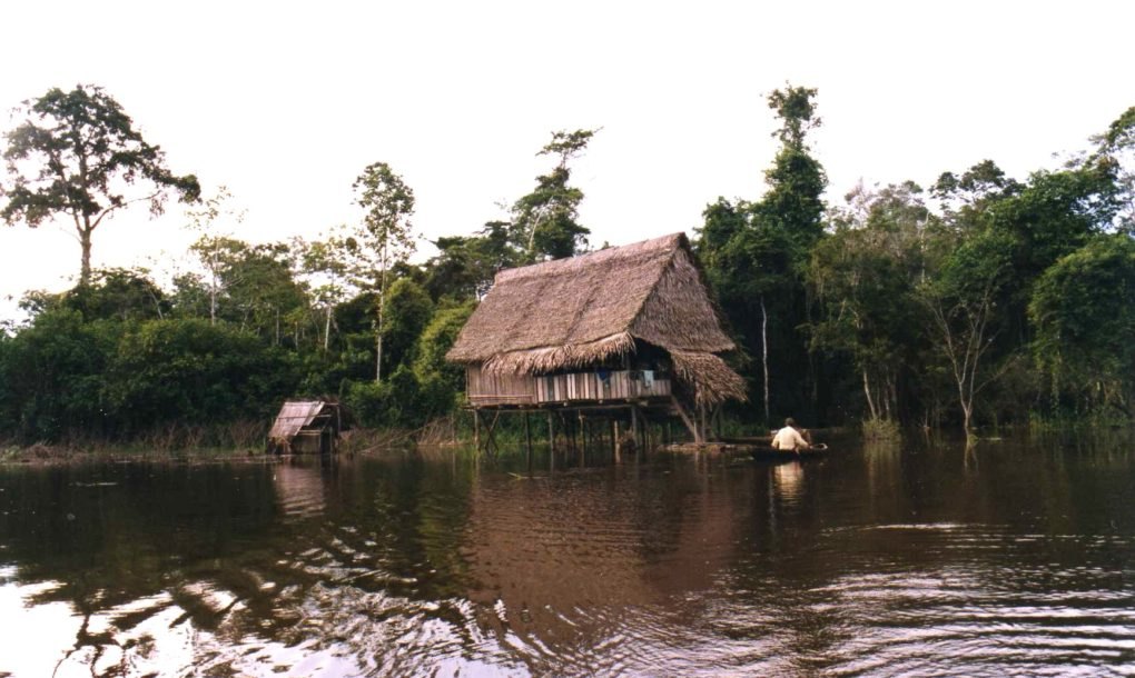 Amazon