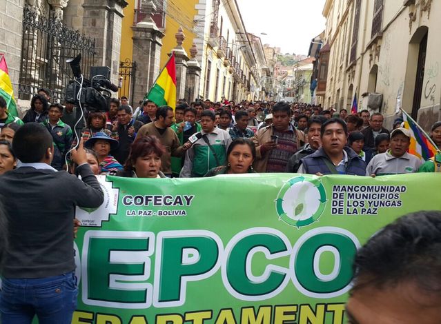 cocaleros