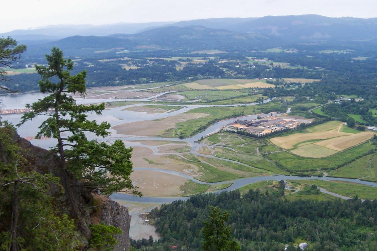 Cowichan