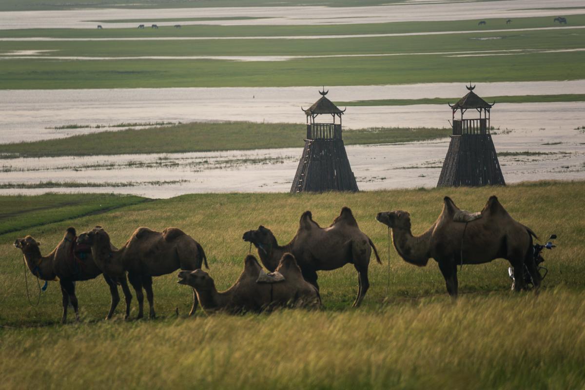 Hulunbuir Grasslands