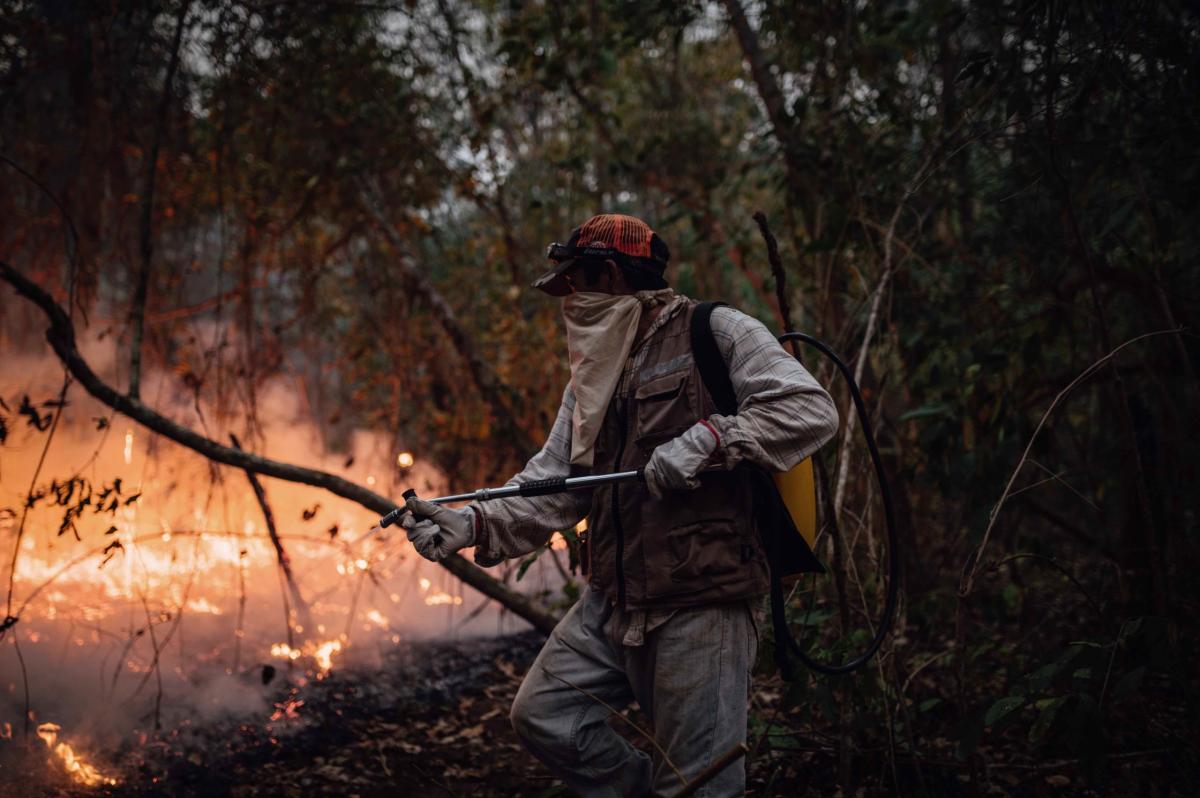 forest fire