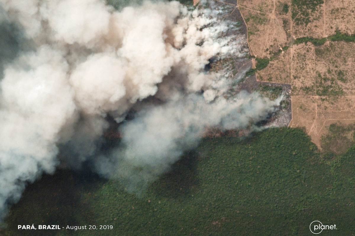 Amazon fires