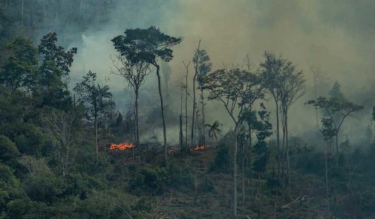 Amazon burning