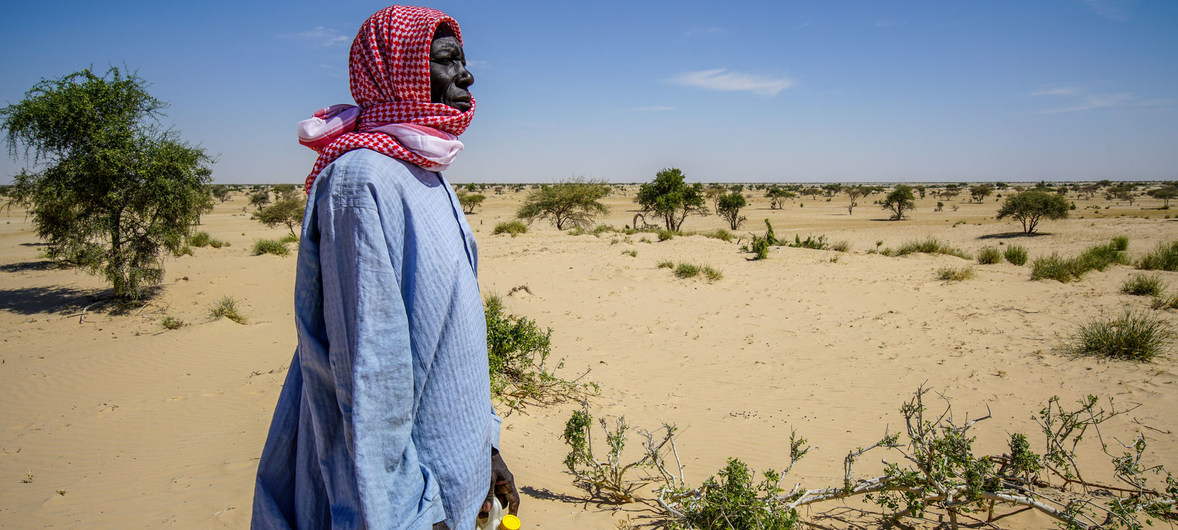 desertification
