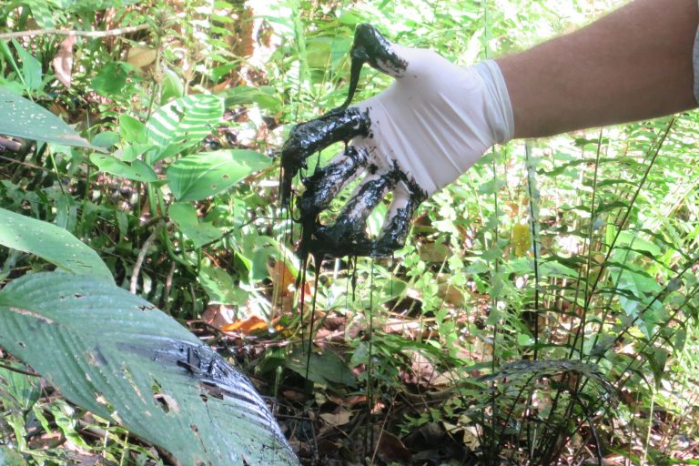 Ecuador oil spill
