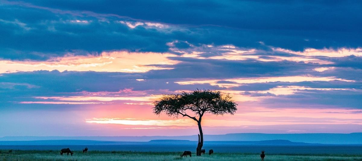 Kenya