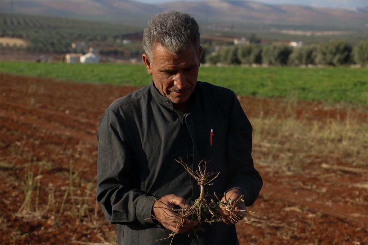 Idlib