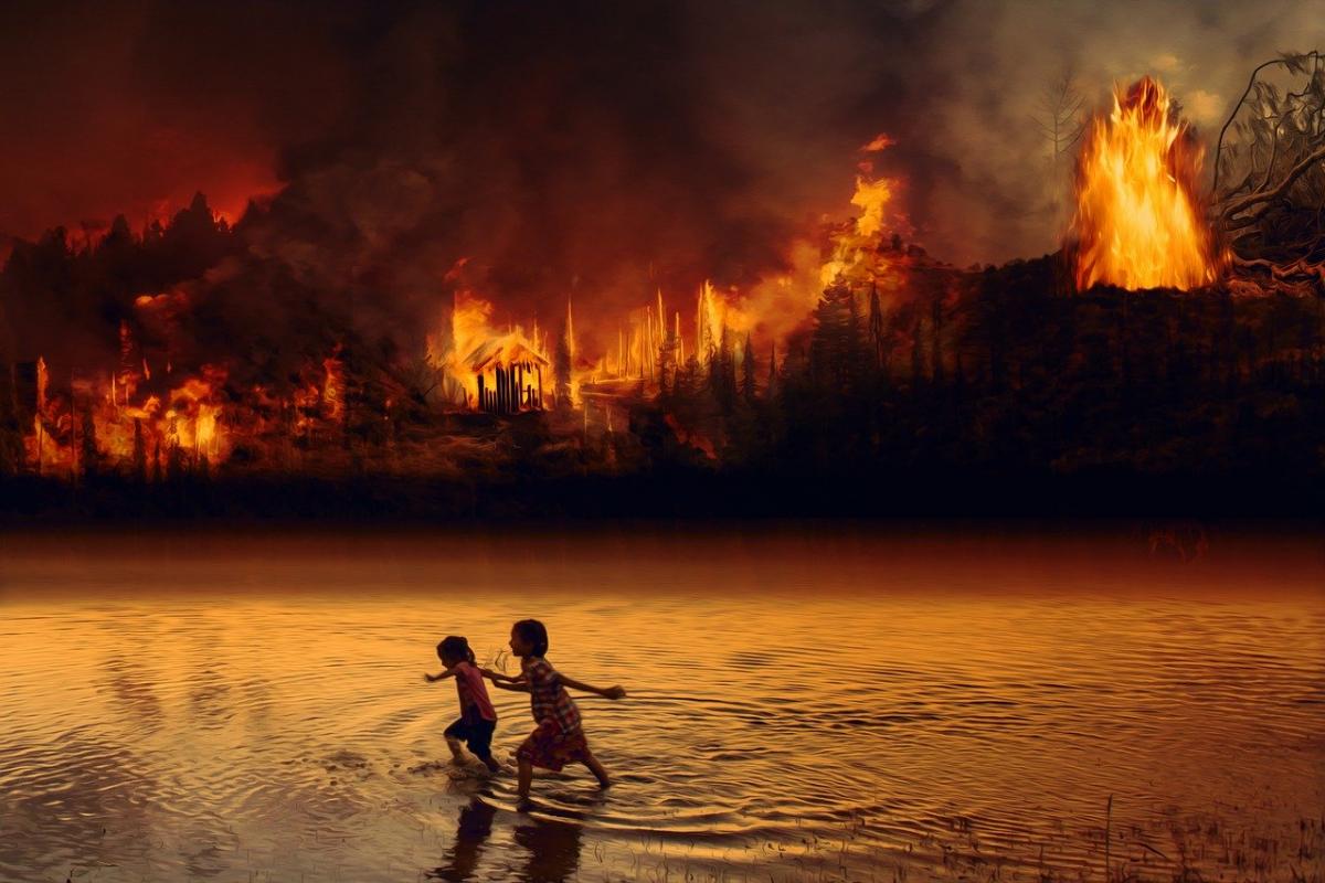burning Amazon