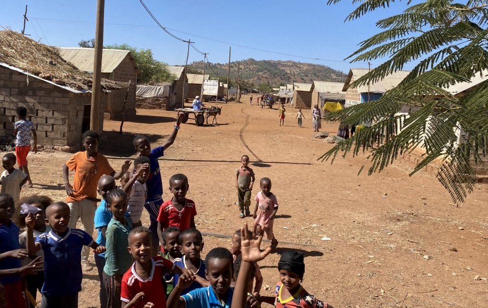 Tigray camps