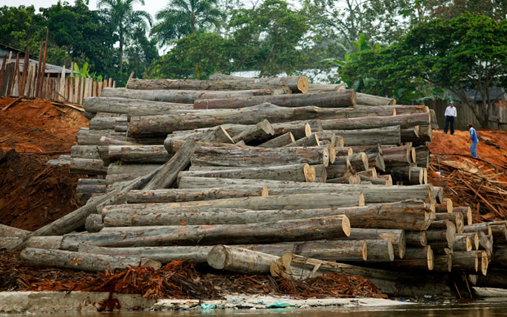 timber