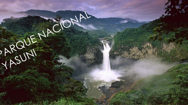 Yasuni