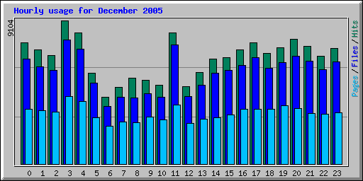 Hourly usage for December 2005