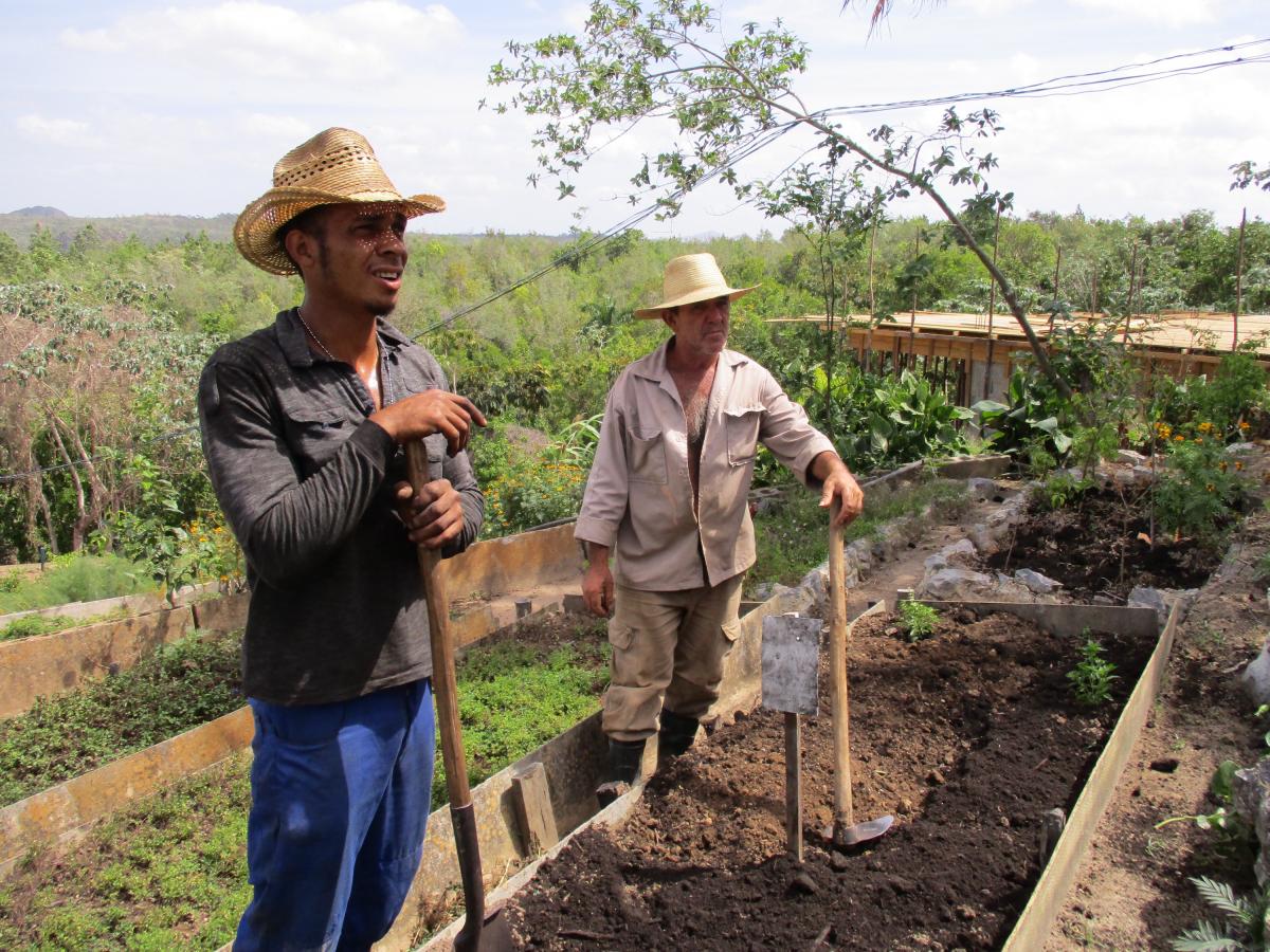 Viñales