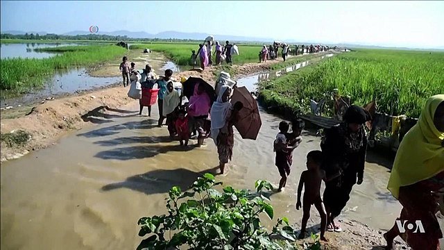 Rohingya refugees