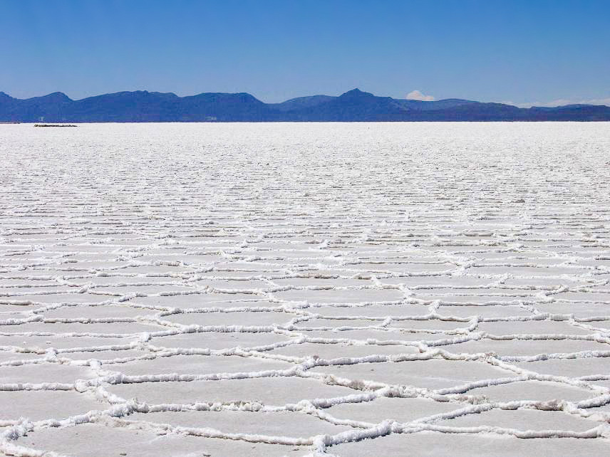 lithium fields