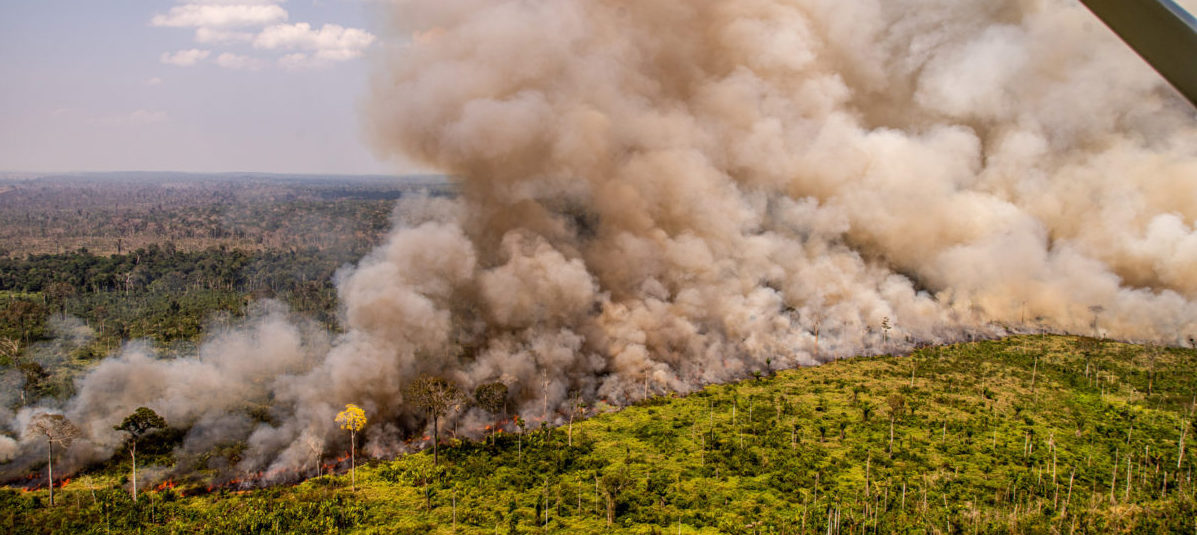 Amazon Fires
