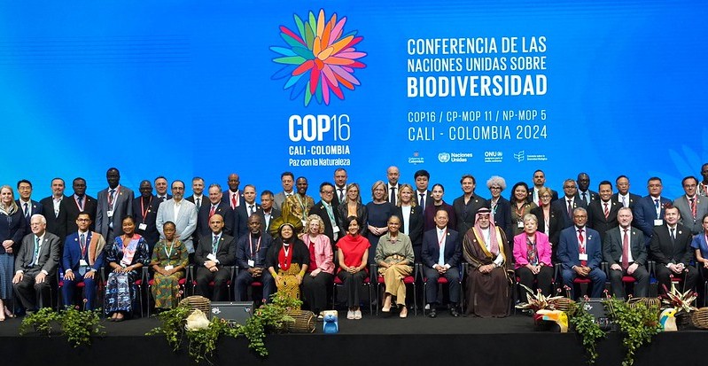 COP16