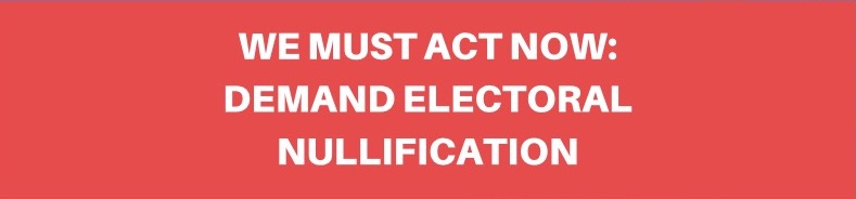 #ElectoralNullification