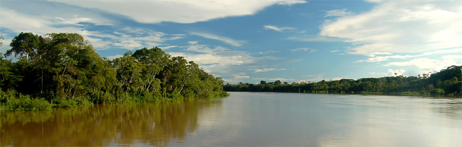 Yavarí
